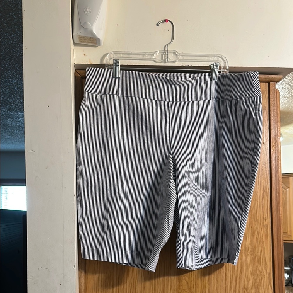 Attyre Blue and White Bermuda Shorts
